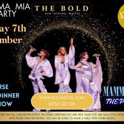 Mamma Mia The Party!