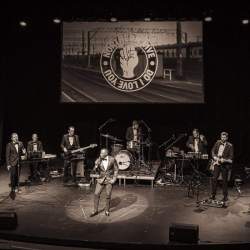 Northern Live: Do I Love You