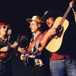 Grateful Fred's: Old Baby Mackerel