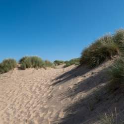 Formby Footprint Walks