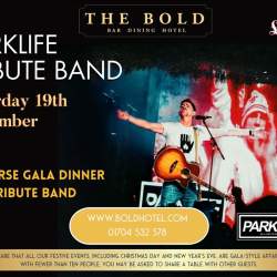 Parklife Christmas Party Night