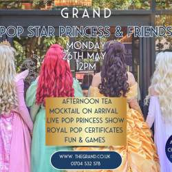 Pop Star Princess & Friends