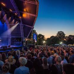 Grateful Fred's: Rodney Branigan