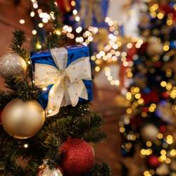 Festive Makers Market