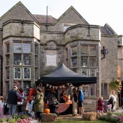 Sugar and Spice Festival Autumn 2026