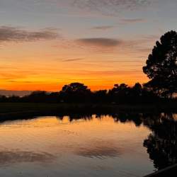 Wirral Walking Festival 2026