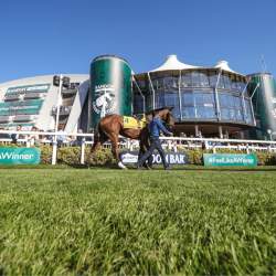 Aintree Racecourse