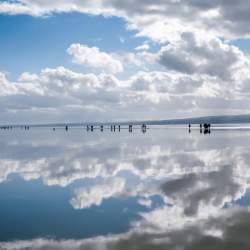 West Kirby and Caldy Hill Walk