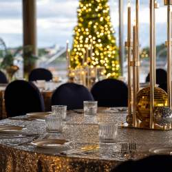 A Night Under the Stars Christmas Parties