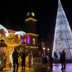 The Bear & The Reindeer Christmas Trail