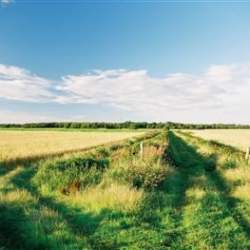 Cheshire Lines Path