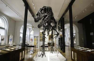Lapworth Museum of Geology