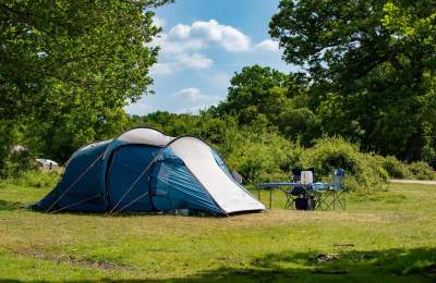 Camping New Forest
