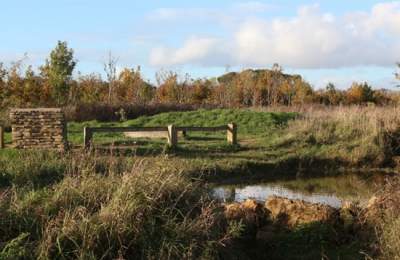 Foxburrow Wood