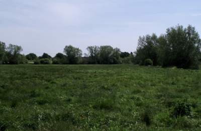 Grimes Meadow