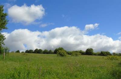 Wigwell Nature Reserve
