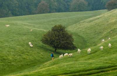 Cotswold Walks