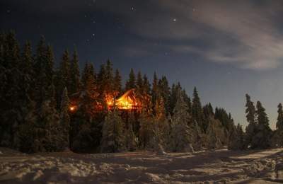 Tretopphyttene - Unike hytter i Brumunddal