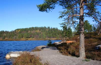 Angelplatz Rundatjønn, Bortelid