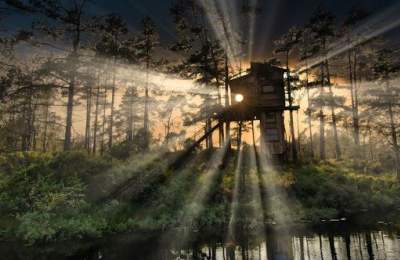 TreeTop Fiddan - Trehytter i Konsmo