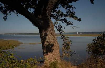 Itchenor & Bosham circular cycle route