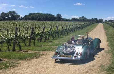 Ambriel Vineyard
