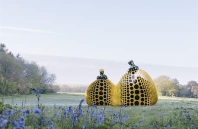 Goodwood Art Foundation Summer Programme