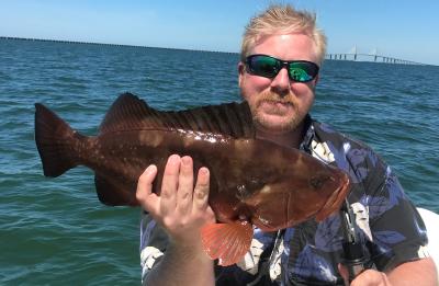 Tampa Bay Red Grouper