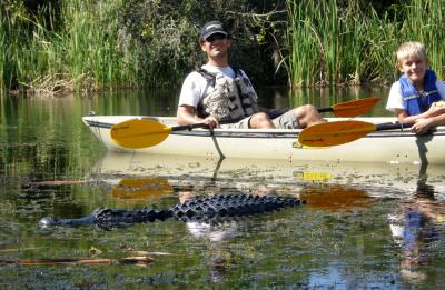 Alligators and Orchids Kayak Eco Tour
