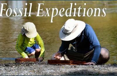 Fossil Expeditions