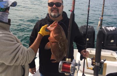 Red grouper