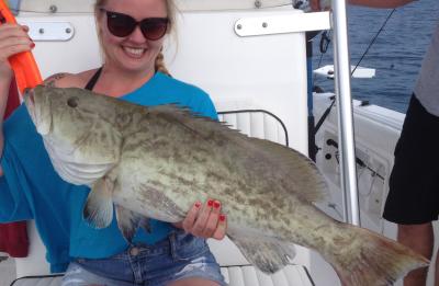Gulf Gag grouper Fishing aboard Angling Adventures w/Captain Steven