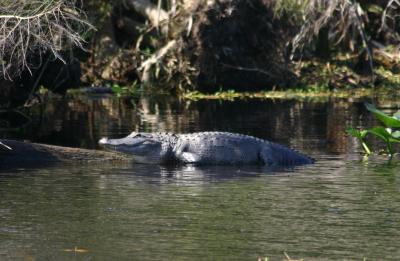 Image 14031