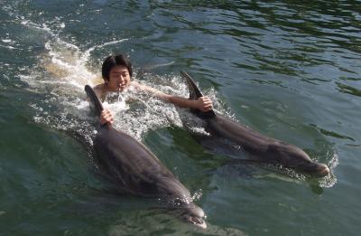 Florida Keys Swim with Dolphins Tours and Ticket