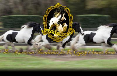 Gypsy Gold - The American Foundation of the Gypsy Vanner Horse