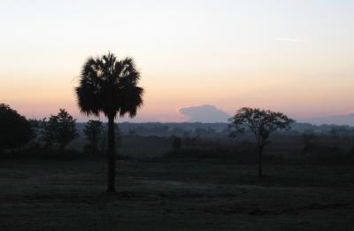 Classic Florida Sunrise