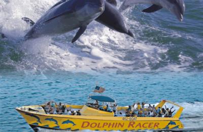 Dolphin Racer Speedboat Adventure - St. Pete Beach
