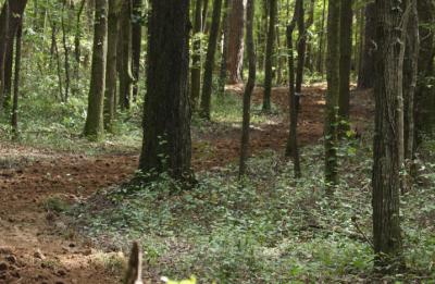 Apalachee Regional Park Trail