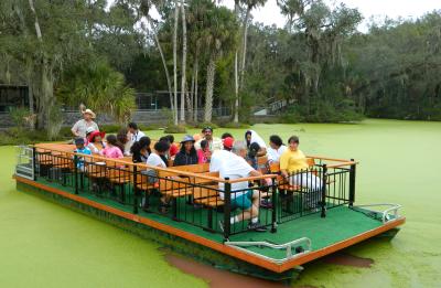 Jungle Swamp Cruise