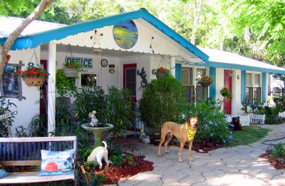 Pets Welcome at Faraway Inn