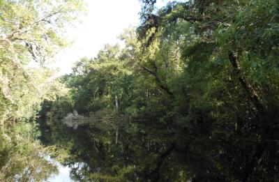 Haw Creek