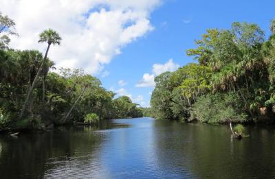 Spruce Creek