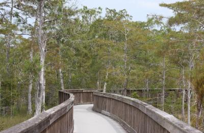 Nature Walk