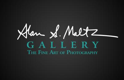 Alan S. Maltz Logo