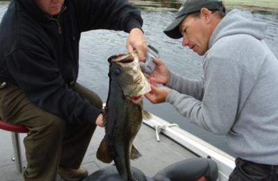 Guided Bass Fishing on Lake Toho