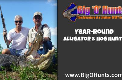 Big O Florida Alligator Hunts
