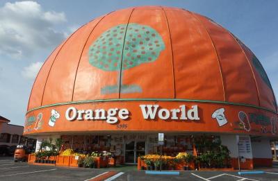 Florida Orange World