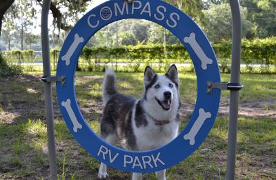 Compass RV Park Dogs