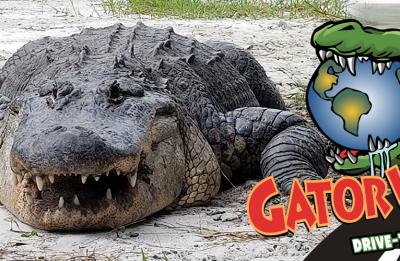 GatorWorld Parks of Florida