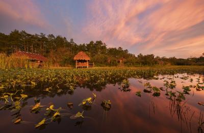 Chickee cabins at Billie Swamp Safari